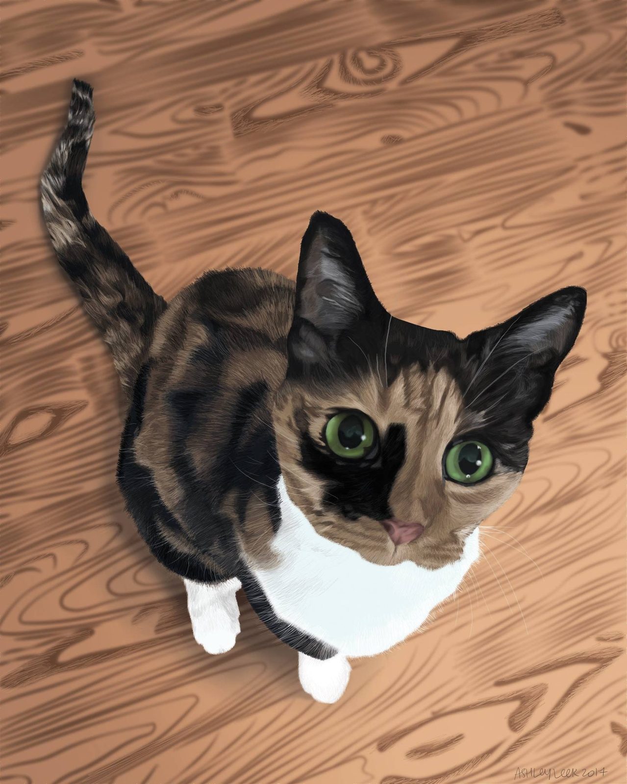 Digital portrait of a calico cat viewed from above, seated on a wood floor