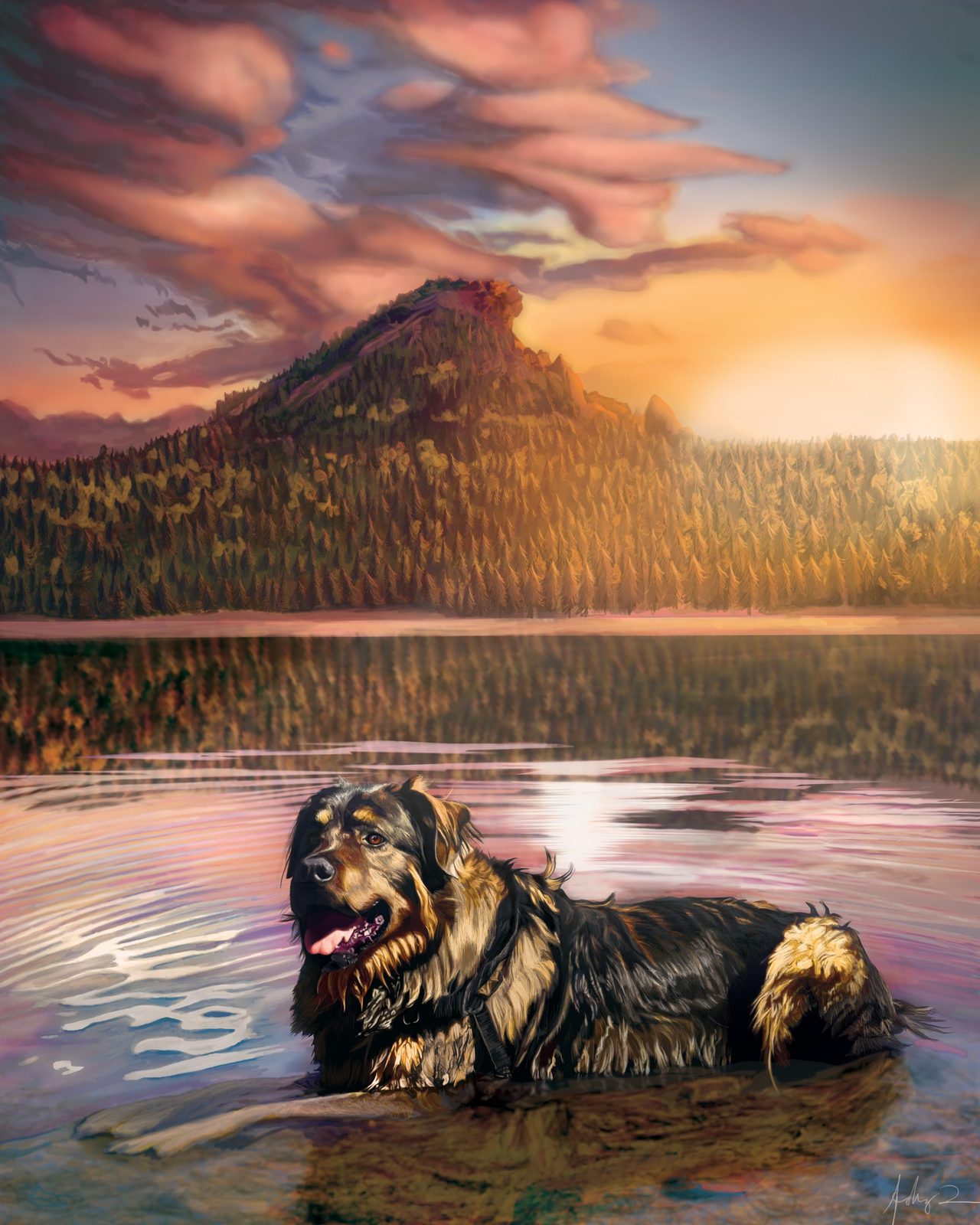 Digital portrait of a black-and-tan long-haired dog sitting in lake water at sunset with mountains behind