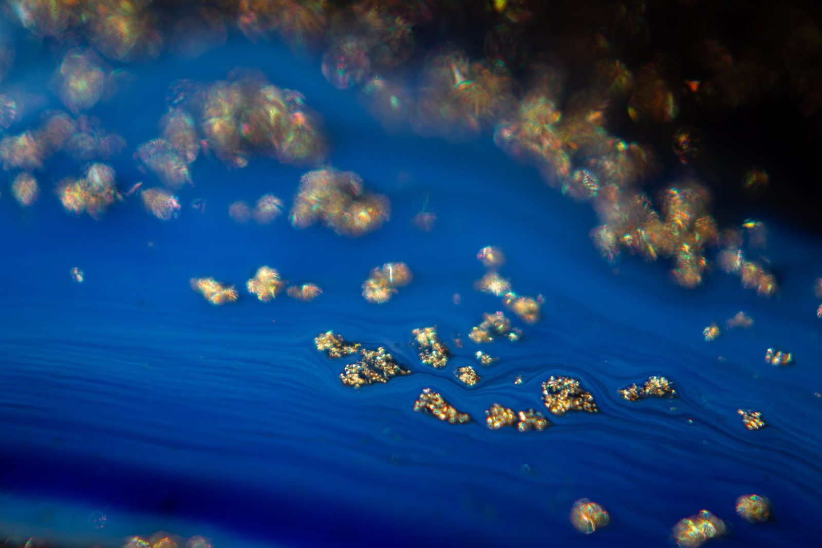 Cobalt blue ground with iridescent gold sparkle clusters gathered along the upper edge.
