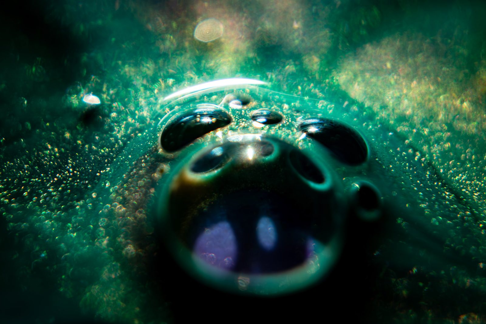 A cluster of dark green glossy bubbles against a black ground, with pale reflections.