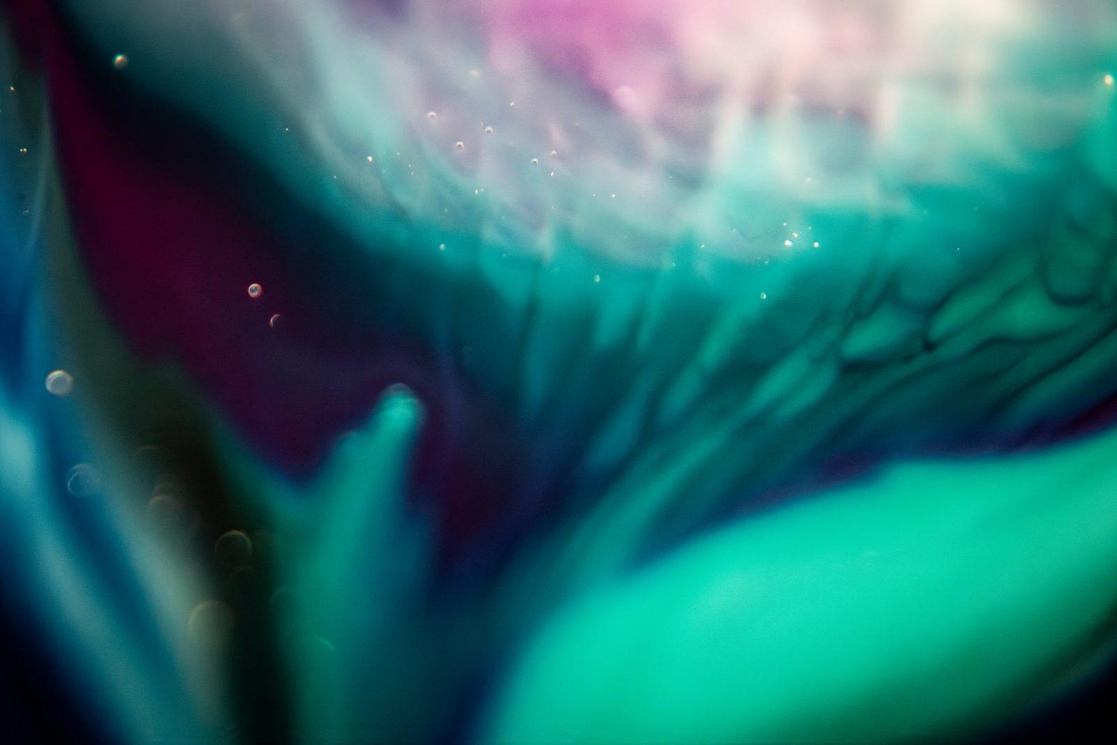 Teal and magenta tones on a dark ground, with scattered bubbles and feathery texture.