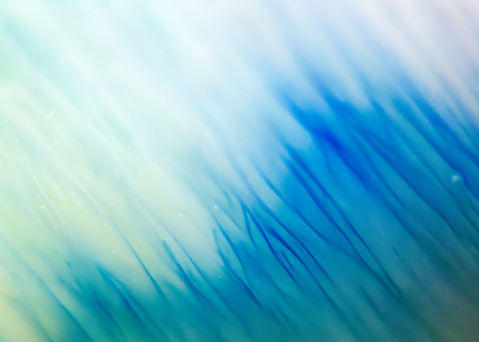 Cobalt and teal wisps fanning diagonally across a pale cream ground.