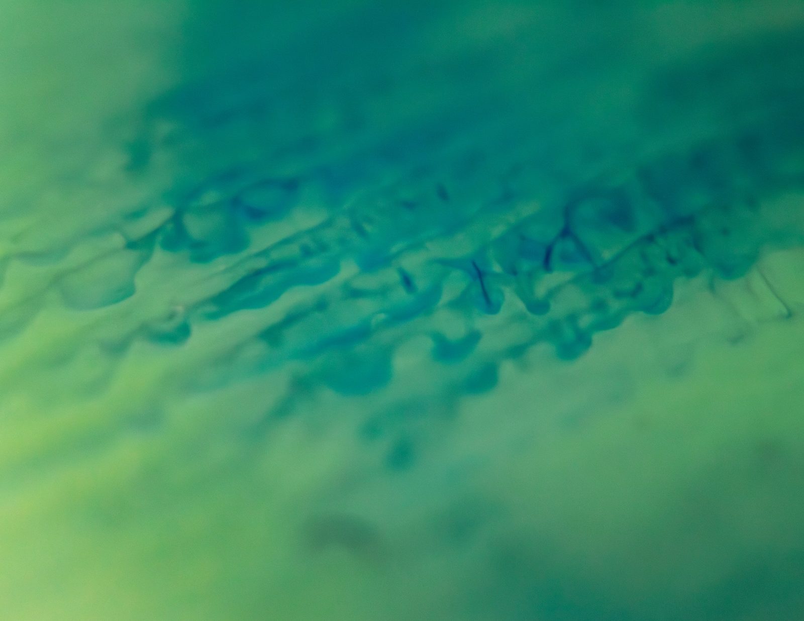 Teal branching drips trailing across a yellow-green ground.