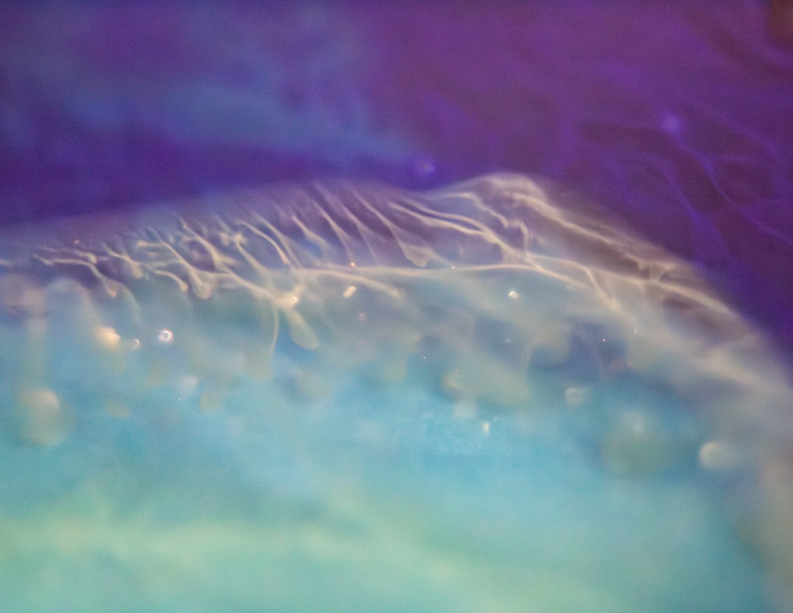 Violet ridge with a feathery cream edge over pale teal, scattered with small bubbles.