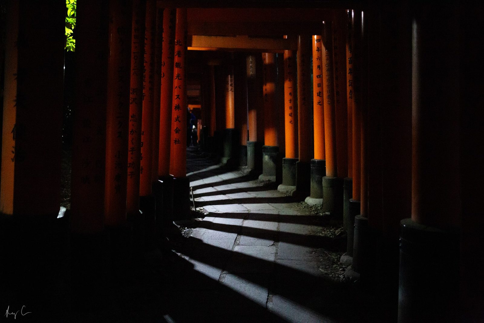 Row of vermilion torii gates forming a shadowed tunnel over a stone path