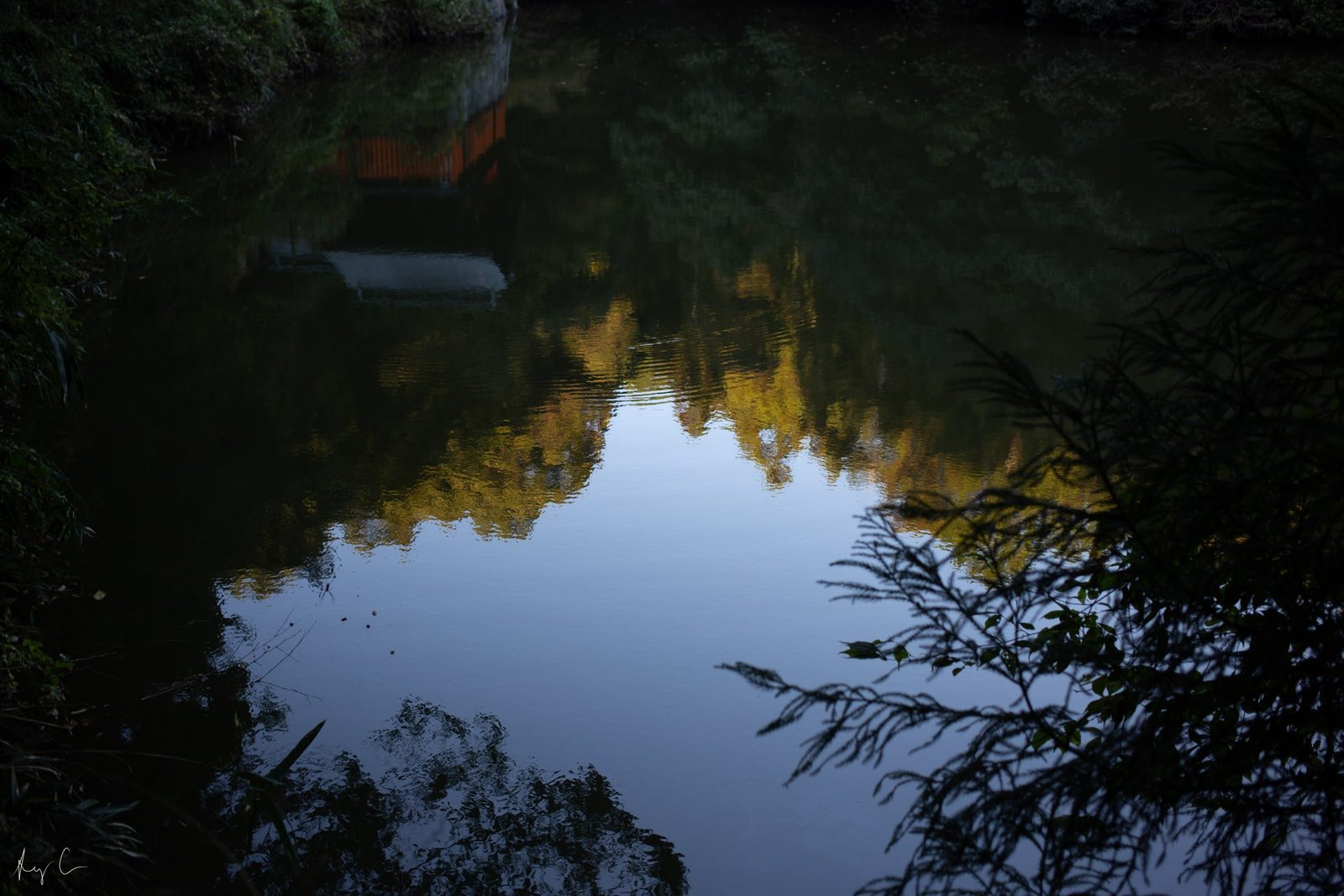 Autumn foliage reflected in a dark still pond with a rock at the edge