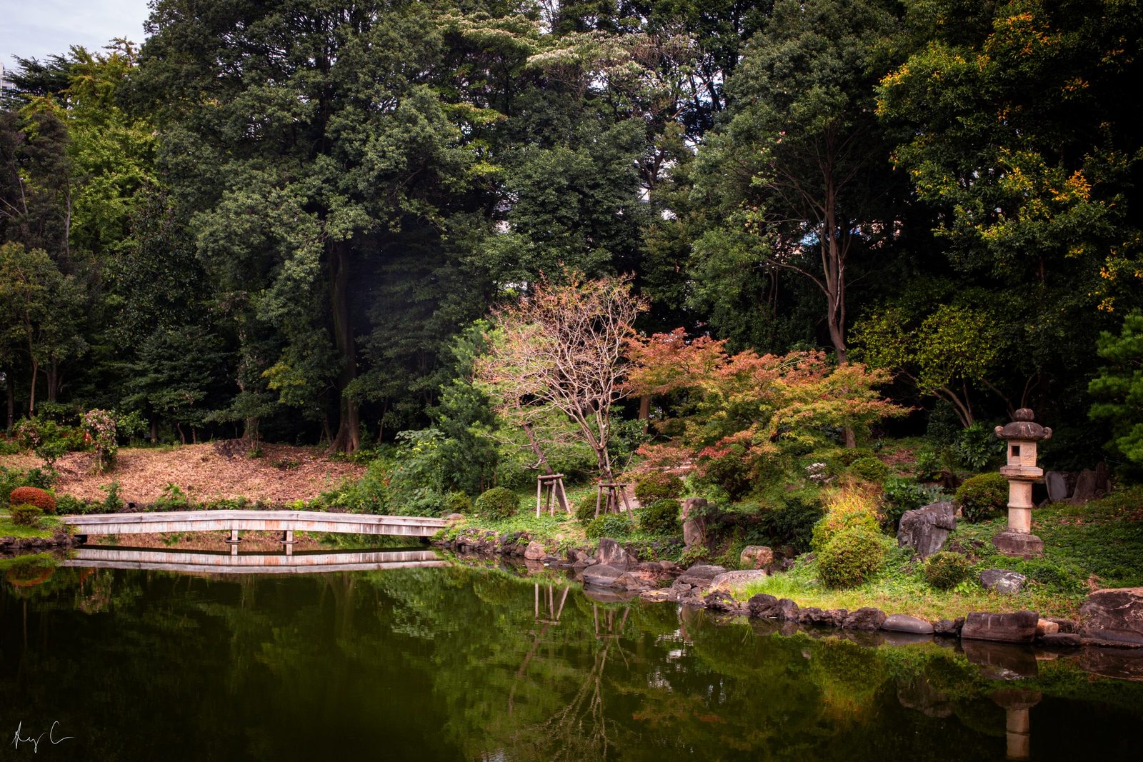 Garden pond with a wooden bridge, stone lantern, and autumn-coloured trees