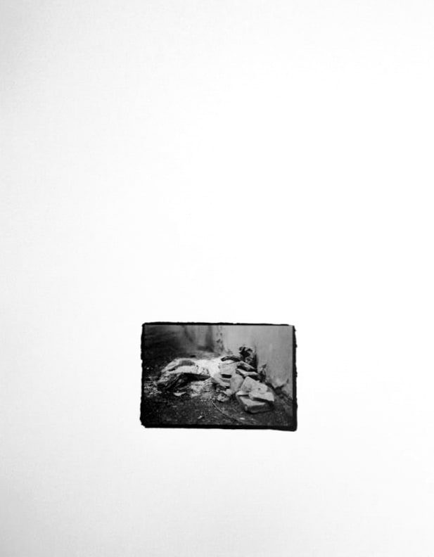 Small black-and-white print, rough-edged on a white ground, showing a pale matted mass on the ground beside a stone in a wall corner.