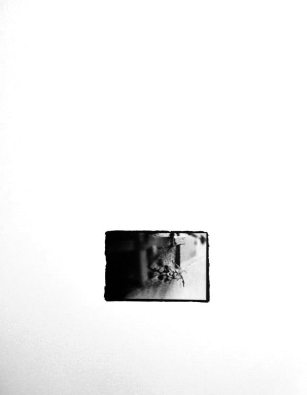 Small black-and-white print, rough-edged on a white ground, showing a bare branch with small clustered dark shapes against a light stone wall corner.