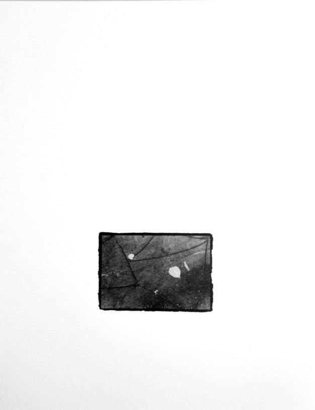 Small black-and-white print, rough-edged on a white ground, showing pale leaves scattered over a cracked stone path.